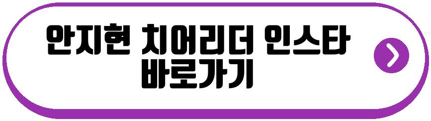 안지현 치어리더 프로필