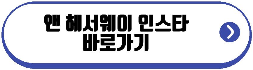 앤 헤서웨이 셋째 임신 근황