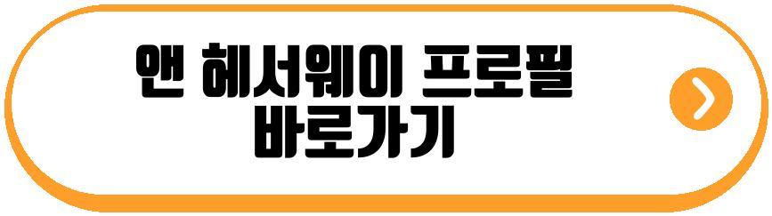 앤 헤서웨이 셋째 임신 근황