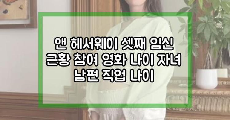 앤 헤서웨이 셋째 임신 근황