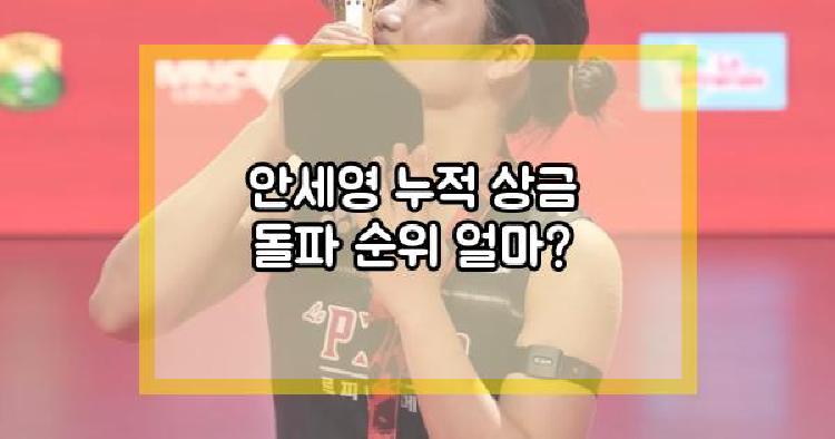 안세영 누적 상금 돌파