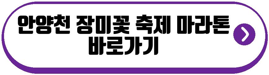 안양천 장미꽃 축제 마라톤