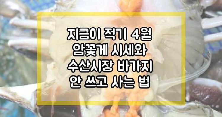 암꽃게 적기