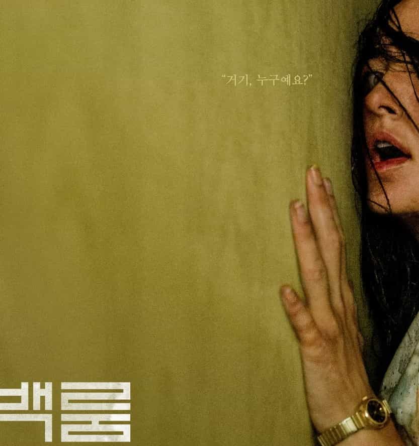 백룸 영화