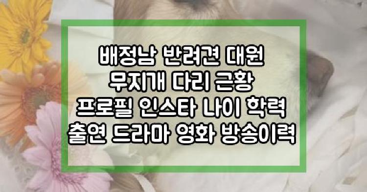 배정남 반려견 대원 무지개 다리 근황 프로필 인스타 나이 학력 출연 드라마 영화 방송이력