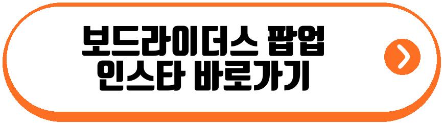 보드라이더스 팝업