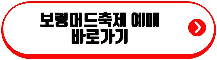 보령머드축제