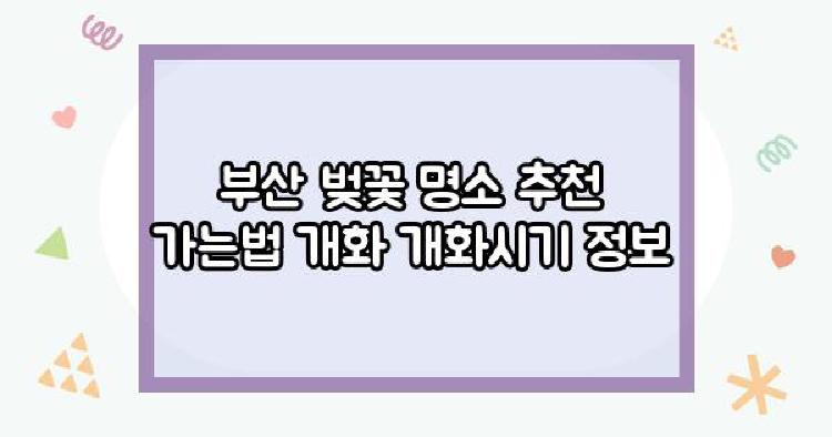 부산 벚꽃 명소