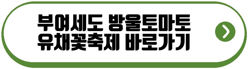 부여세도 방울토마토 유채꽃축제