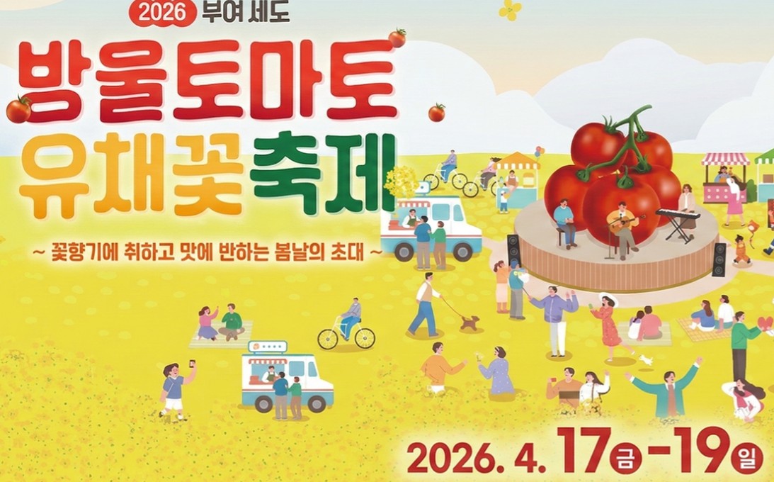 부여세도 방울토마토 유채꽃축제