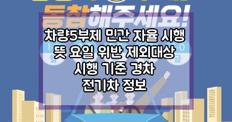 차량5부제