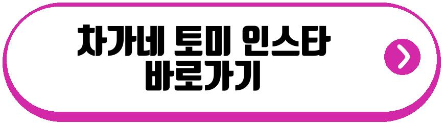 차가네 토미