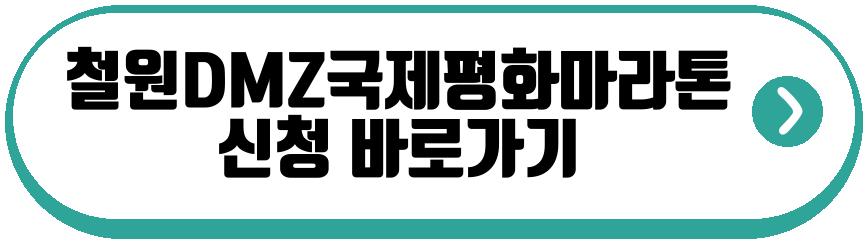 철원DMZ국제평화마라톤대회