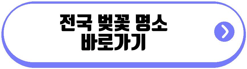 전국 벚꽃 명소