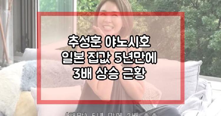 추성훈 야노시호
