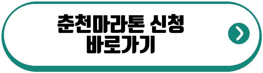 춘천마라톤