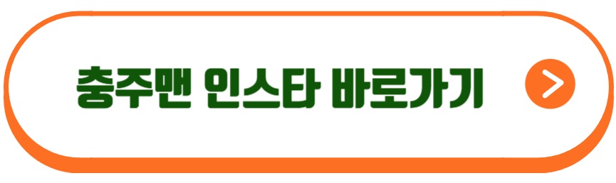 충주맨 김선태