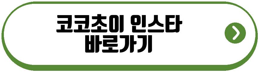 코코초이