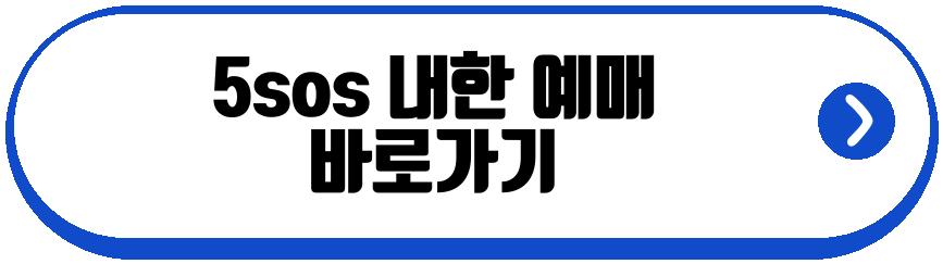 5sos 내한