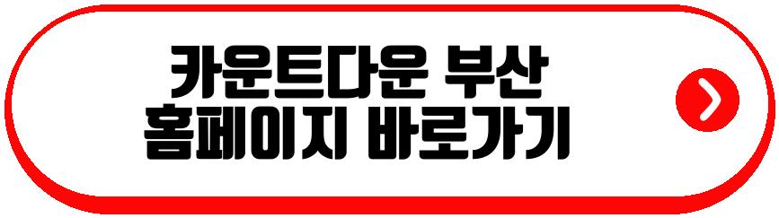 카운트다운 부산