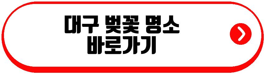 대구 벚꽃 명소