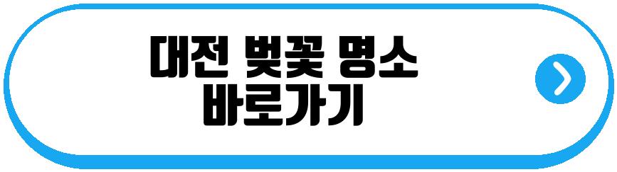 대전 벚꽃 명소