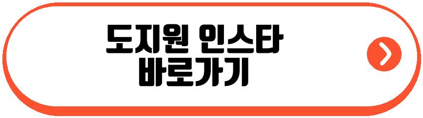 도지원