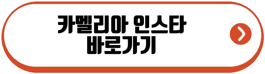 돌싱n모솔 여자 출연자