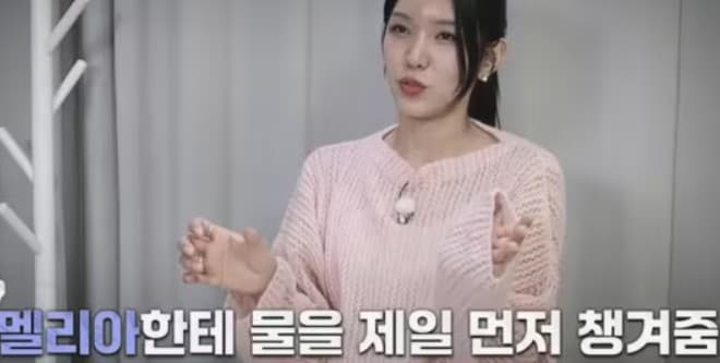 돌싱n모솔 여자 출연자