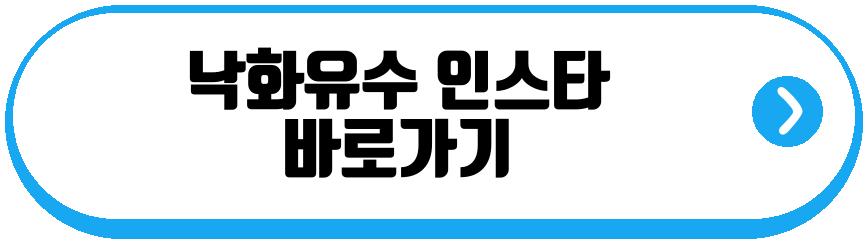 돌싱n모솔 남자 출연자