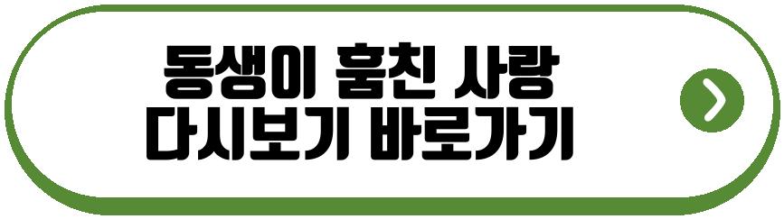 동생이 훔친 사랑