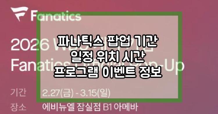 파나틱스 팝업