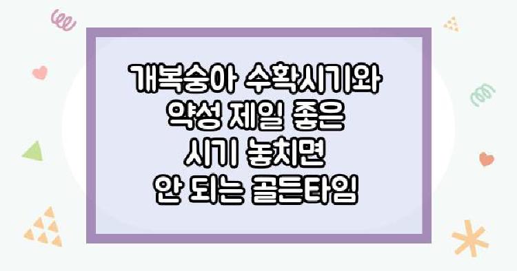 개복숭아 수확시기와