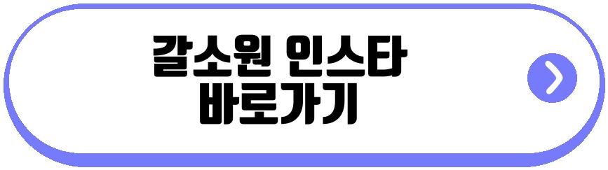 갈소원 예뻐진 근황