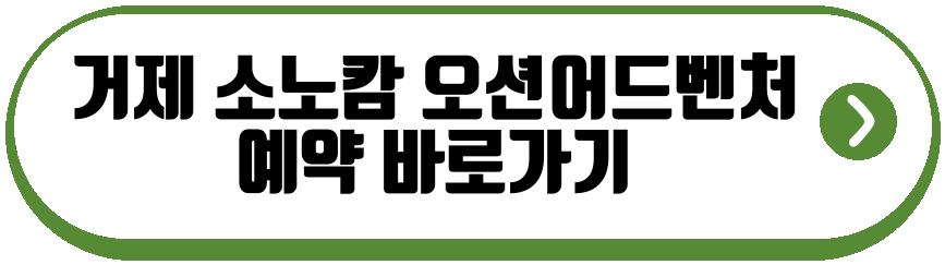 거제 소노캄 오션어드벤처 2026