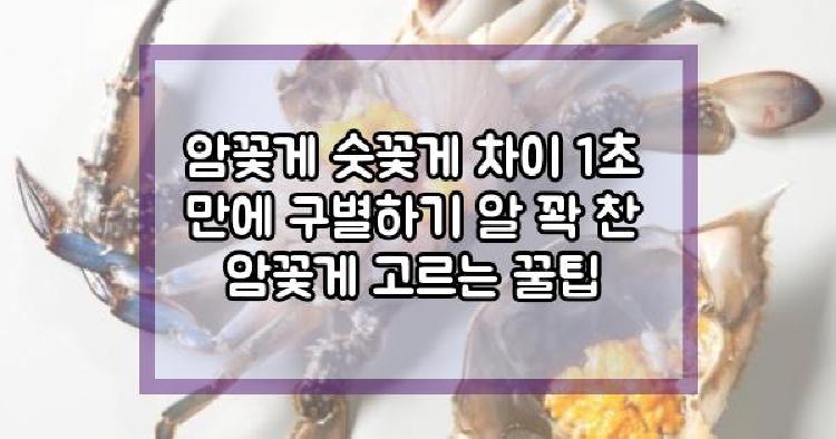 암꽃게