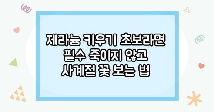 제라늄키우기