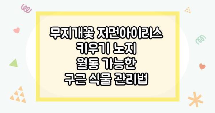 저먼아이리스