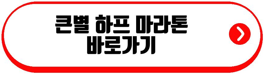 큰별 하프 마라톤