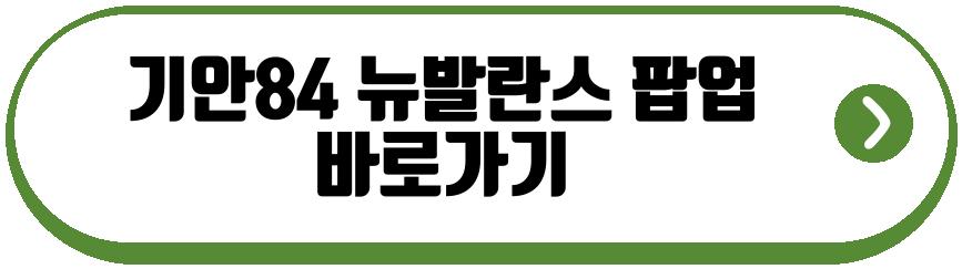 기안84 뉴발란스