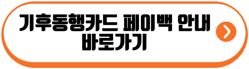기후동행카드