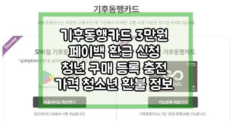 기후동행카드