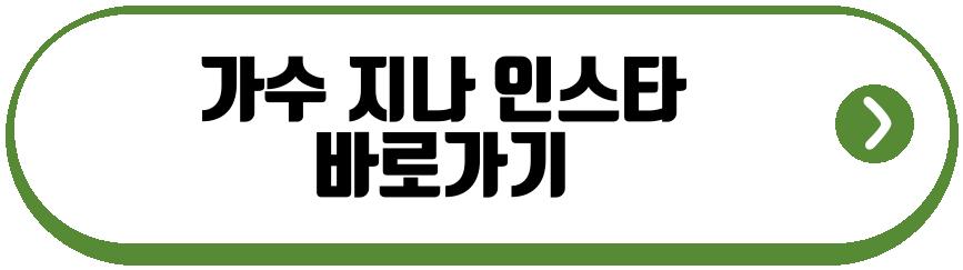 가수 지나
