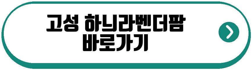 고성 하늬라벤더팜 애견동반