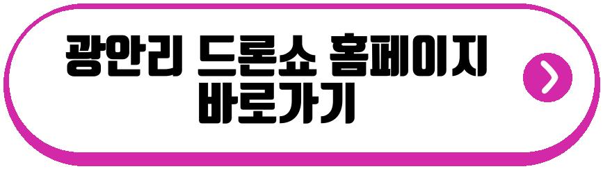 광안리 드론쇼