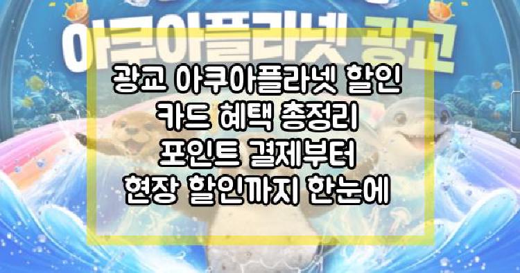 광교 아쿠아플라넷 할인 카드 혜택