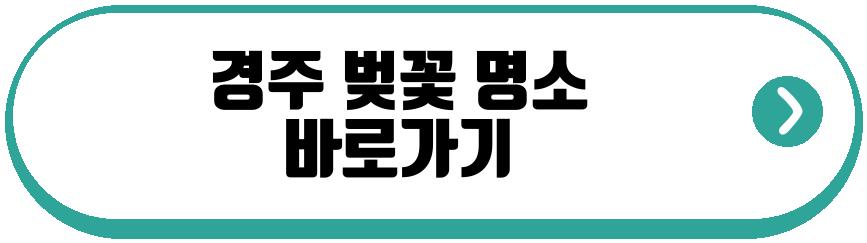 경주 벚꽃 명소
