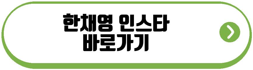 한채영 틱톡 라방