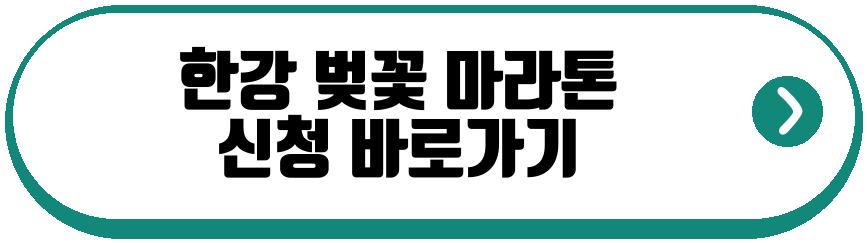 한강 벚꽃 마라톤