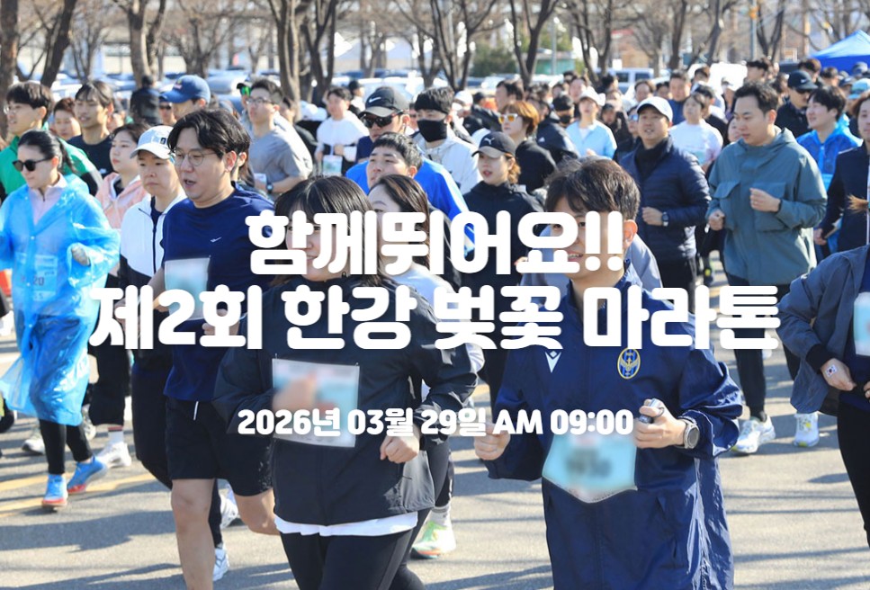 한강 벚꽃 마라톤
